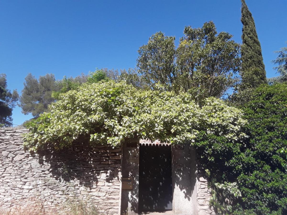 Chambres D'Hotes Lovely Planette Nimes Exterior foto