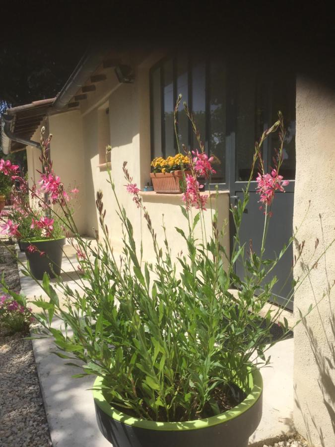 Chambres D'Hotes Lovely Planette Nimes Exterior foto